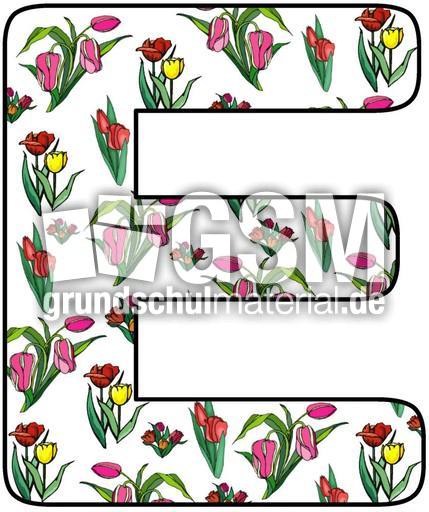 Tulpen-Buchstabe-E.jpg